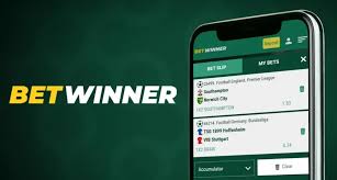 Everything You Need to Know About BetWinner Deposits Everything You Need to Know About BetWinner Deposits